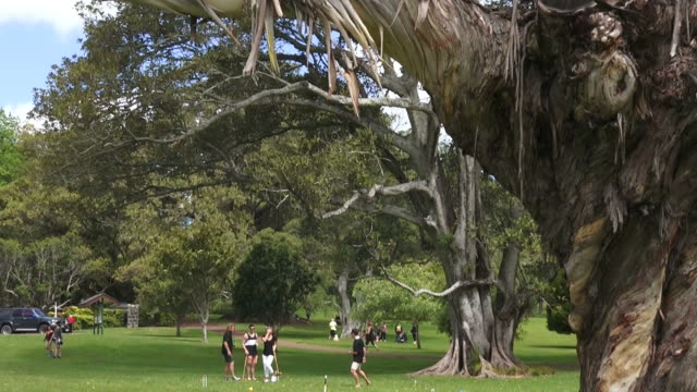 Joven-personas-Juegue-al-Croquet-en-Cornwall-parque-Auckland-nuevo-Zelanda