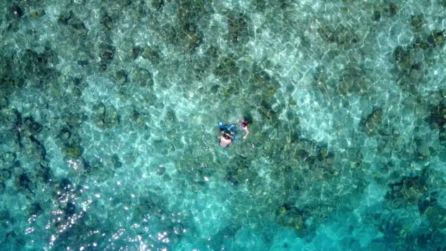 v04074-fliegenden-Drohne-Luftaufnahme-der-Malediven-weißen-Sandstrand-2-Personen-junges-Paar-Mann-Frau-Schnorcheln-Schwimmen-Tauchen-auf-sonnigen-tropischen-Inselparadies-mit-Aqua-blau-Himmel-Meer-Wasser-Ozean-4k