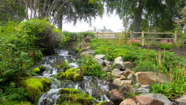 Corriente-en-el-Real-Jardín-Botánico-de-Edimburgo