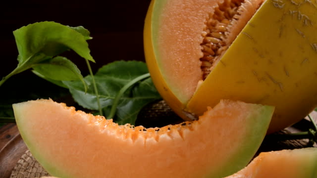 junger-Spross-der-japanischen-Melonen-oder-Cantaloupe-Melonen-Pflanzen-im-Gewächshaus