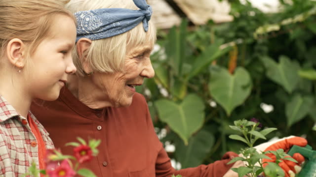 Liebevolle-Großmutter-und-fröhliches-Mädchen,-die-Arbeit-im-Garten