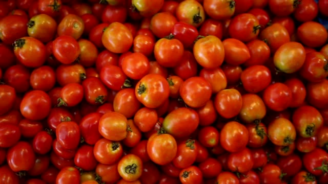 Frische-rote-Tomaten-Gemüse-vom-Bauernhof
