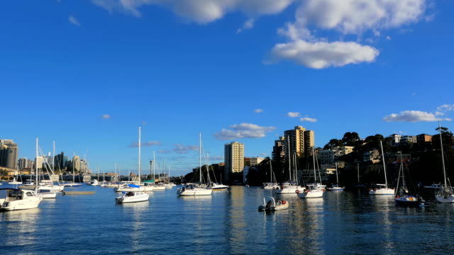 Panning-Schuss-von-Lavendel-Bay-und-die-Sydney-Harbour-Bridge-(4-k-UHD-zu/HD)