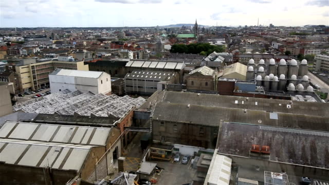 Plant-from-the-observation-deck-of-Guinness-Storehouse