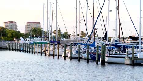 Blick-auf-die-Boote-gehen-in-Tampa-Bay-harbor