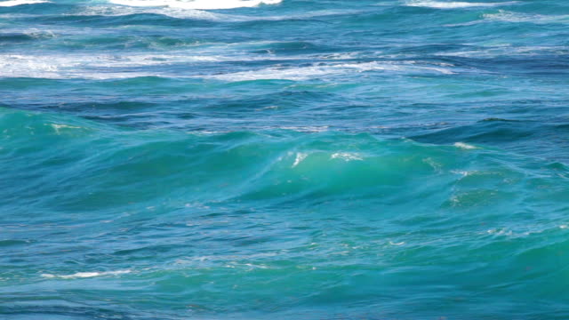 Wellen-nahe-der-shore