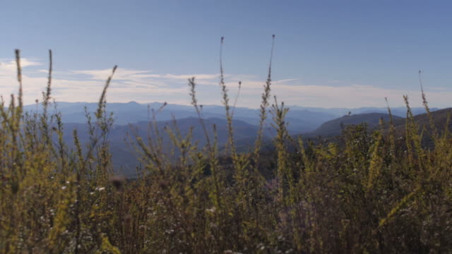 Las-montañas-Blue-Ridge-vista-exterior-de-Asheville,-Carolina-del-Norte,-dolly-shot