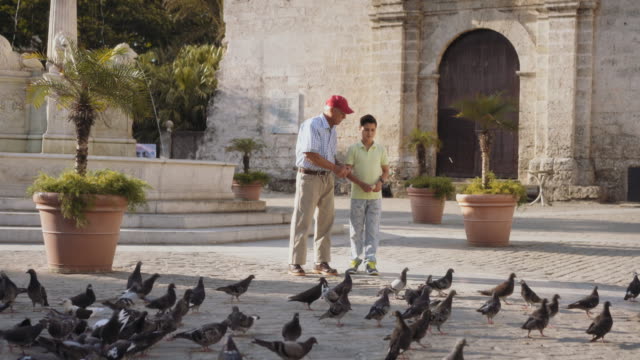 Grandpa-And-Grandson-Feeding-Pigeons-With-Bread-On-Vacations
