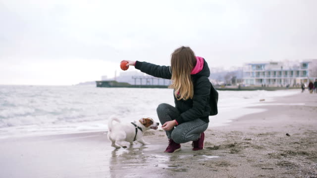 Junge-Frau-mit-Hund-Jack-Russel-am-Strand-am-Meer,-Zeitlupe-spielen