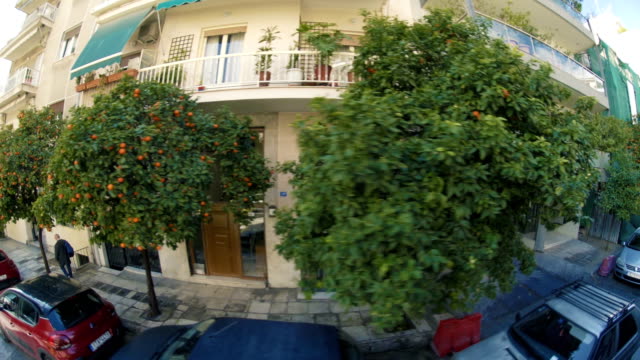 Orangenbäume-in-städtischen-Athen
