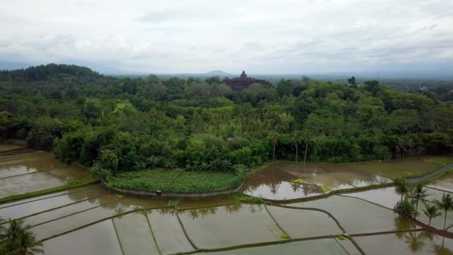 Tiro-de-drone-de-vista-aérea-del-templo-de-Borobudur-en-Java-al-amanecer,-viajes-Indonesia-religión-drone-concepto-4K-de-resolución