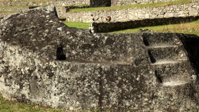 Nahaufnahme-von-einem-zeremoniellen-Felsen-in-Machu-Picchu-mit-einer-Fütterung-llama