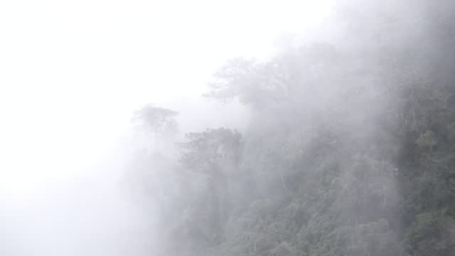 Machu-Pichu-y-la-aventura-de-llegar