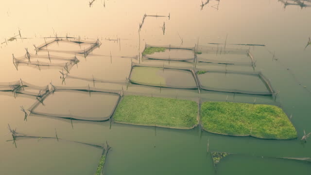 Rowo-Apung-Floating-Place-Jombor-Klaten-fishing-pond-aerial-view-at-sunrise,-Yogyakarta,-Indonesia