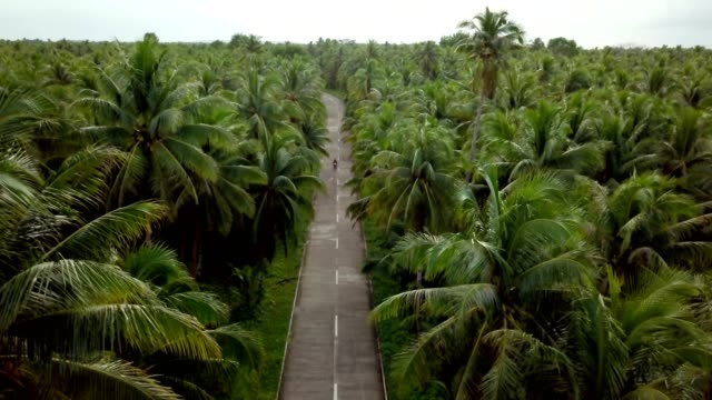 Drone-point-of-view-of-man-driving-motorbike-in-palm-trees-road-in-the-Philippines,-aerial-view-from-drone