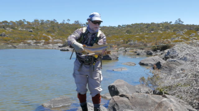 zoom-rápida-en-la-captura-de-un-pescador-y-la-trucha-en-lagos-occidental-de-tasmania