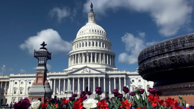 capitol-building,-flowers-and-fountain-in-washington-dc