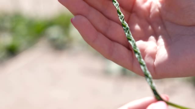 Braid-from-leaves-in-woman's-hand.
