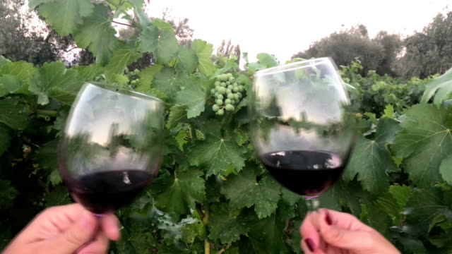 Red-wine-cheering-at-vineyard