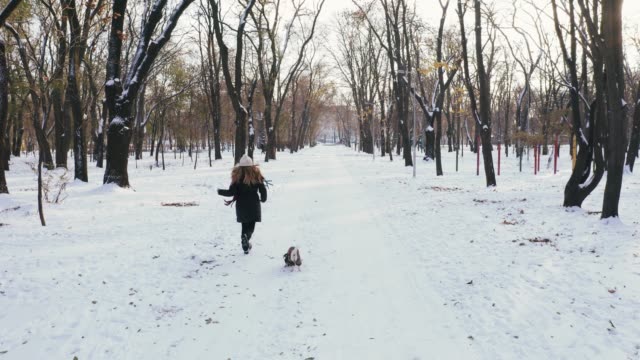 Junge-Frau-rennt-mit-Jack-Russell-Terrier-in-der-Winterzeit-durch-Park,-Luftaufnahme,-Drohne-footage