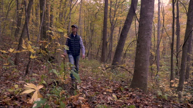 Man-hiking-in-the-woods-with-a-walking-stick-in-the-autumn