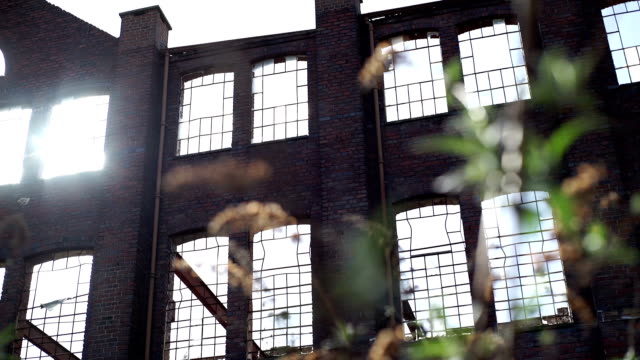 Derelict-building-windows-in-Birmingham,-England.