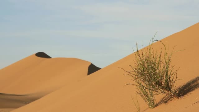 Colina-de-arena-en-del-desierto-central-de-Irán