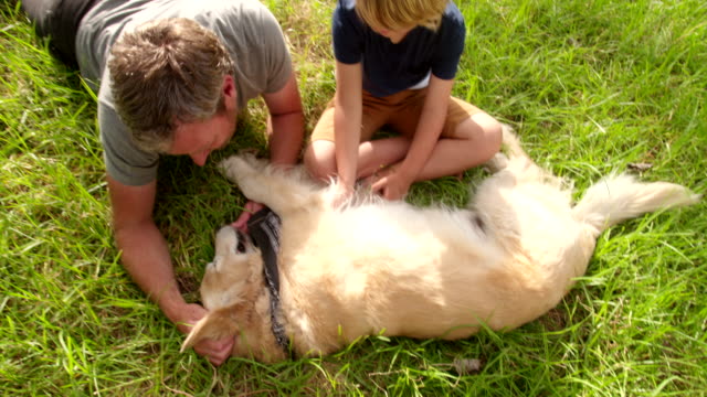 Papá-juega-con-su-hijo-lindo-y-su-perro-al-aire-libre