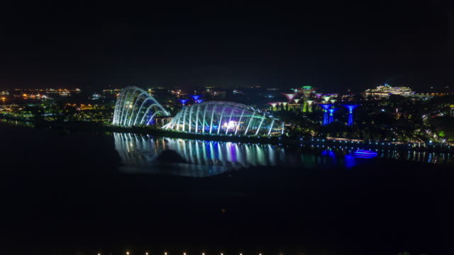 Nacht-Licht-Singapur-berühmten-Garten-4-k-Zeitraffer-von-flyer