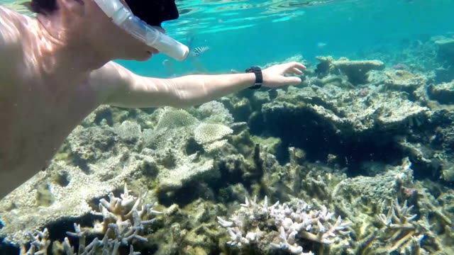 Ein-Mann,-Schnorcheln-am-Korallenriff-von-Mauritius