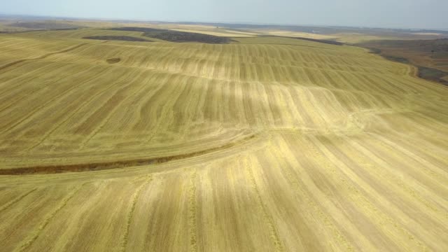 Aerial-view-of-a-hay-field,-days-after-harvest-on-a-cloudy-day