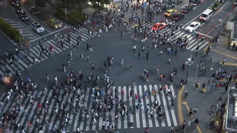 High-Angle-Shot-von-den-berühmten-Shibuya-Pedestrian-Scramble-Zebrastreifen-mit-Massen-von-Menschen-und-Autos-fahren.-Abends-in-der-Großstadt.