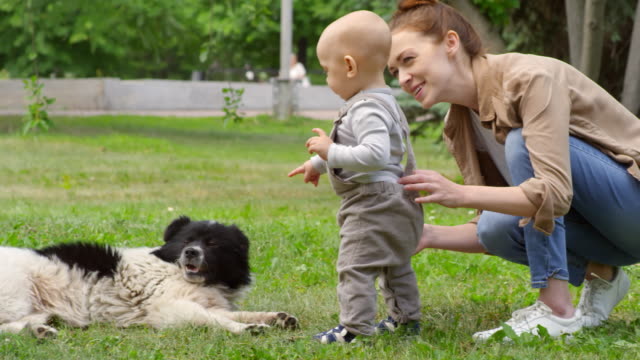 Mutter-und-Kind-Interaktion-mit-streunenden-Hund-im-Park