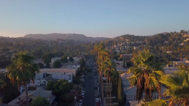Beautiful-Los-Angeles-district-with-long-palms-by-the-side-of-the-road.