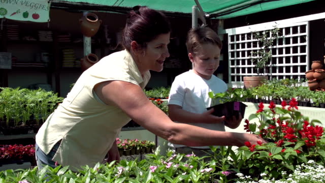 Mother-and-child-selecting-seedlings-at-a-nursery,-South-Africa