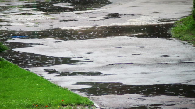 Rain-dripping-through-the-puddles.-Raindrops