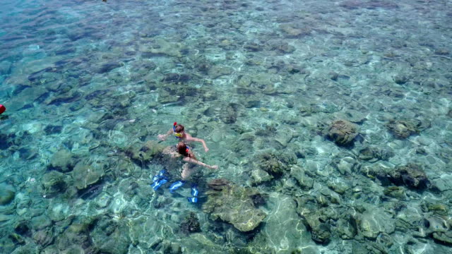 v04069-vista-aérea-de-drone-volando-de-Maldivas-playa-2-personas-pareja-joven-hombre-mujer-snorkel-natación-buceo-en-la-isla-de-paraíso-tropical-soleado-con-cielo-azul-aqua-agua-mar-4k