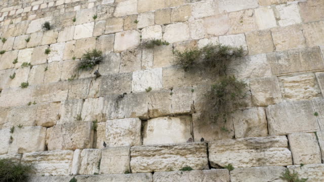 View-of-a-Western-wall-in-Jerusalem.-Israel.