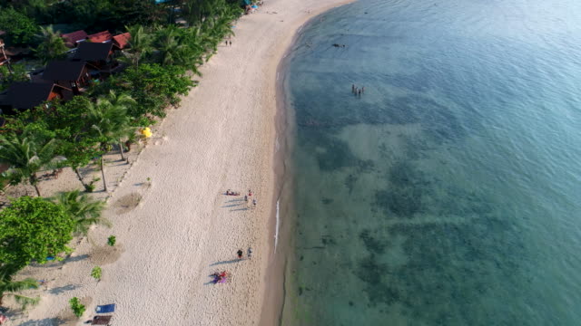 Los-turistas-descansan-en-una-hermosa-playa