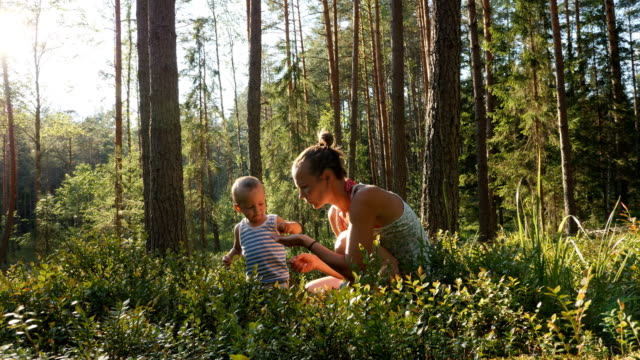 Mother-and-son-at-age-of-one-year-collect-and-eat-wild-blueberries