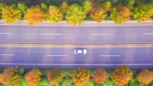 Vista-de-ángulo-alto-el-camino-en-otoño-Corea-del-sur