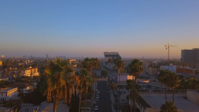Am-schönen-Los-Angeles-Bezirk-mit-langen-Palmen-an-der-Seite-der-Straße.
