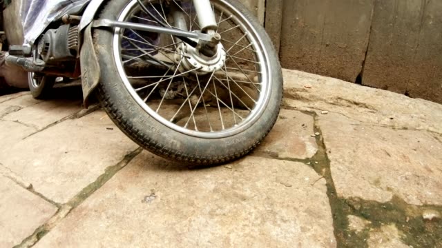 Kleine-asiatische-Mangoose-zerreißt-Papier-unter-weel-von-Motorrad-auf-dem-Bürgersteig-von-Varanasi