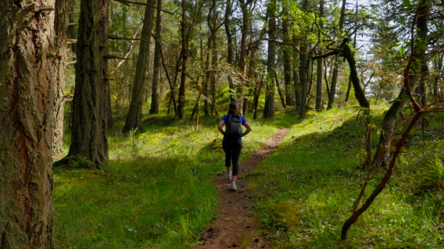 Deportiva-mujer-camina-por-sendero-en-el-bosque-de-verde-exuberante