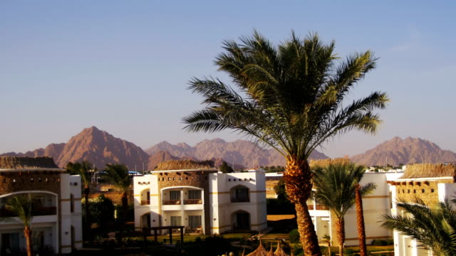Sunny-Hotel-Resort-con-piscina-azul,-palmeras-y-tumbonas-en-Egipto