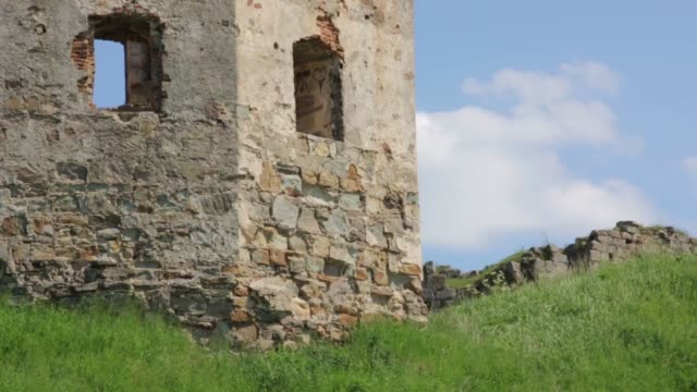 Pared-de-la-antigua-fortaleza