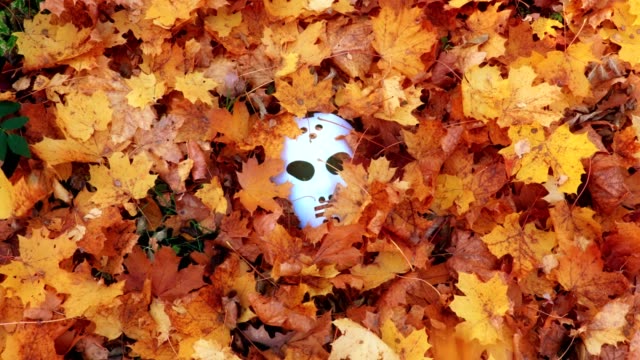 Scary-Halloween-mask-between-fall-autumn-leaves
