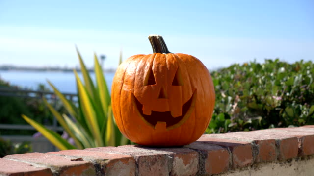 Happy-Halloween-pumpkin-summer-background-in-4K-slow-motion-60fps