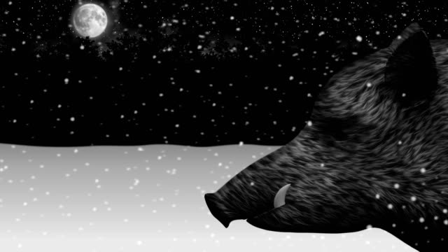 Jabalí-en-una-animación-de-bosque-de-invierno-cubierto-de-nieve-de-noche