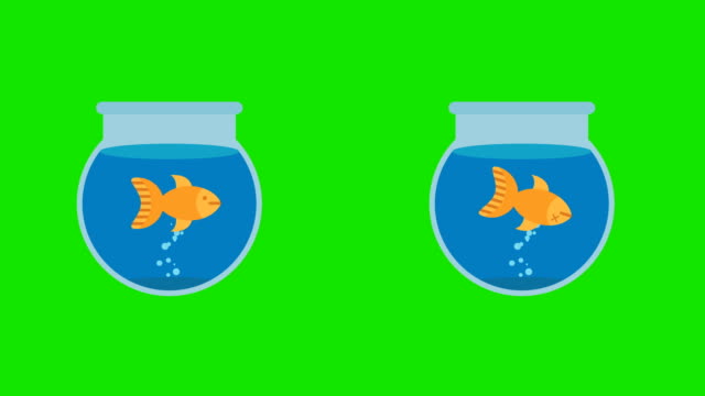 Cartoon-Aquarien-mit-Tote-Fische-und-lebende-Fische